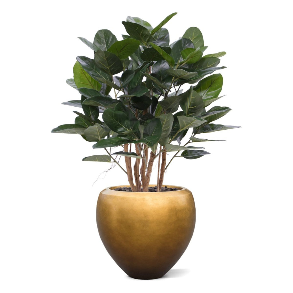 Ficus Audrey kunstplant 100cm