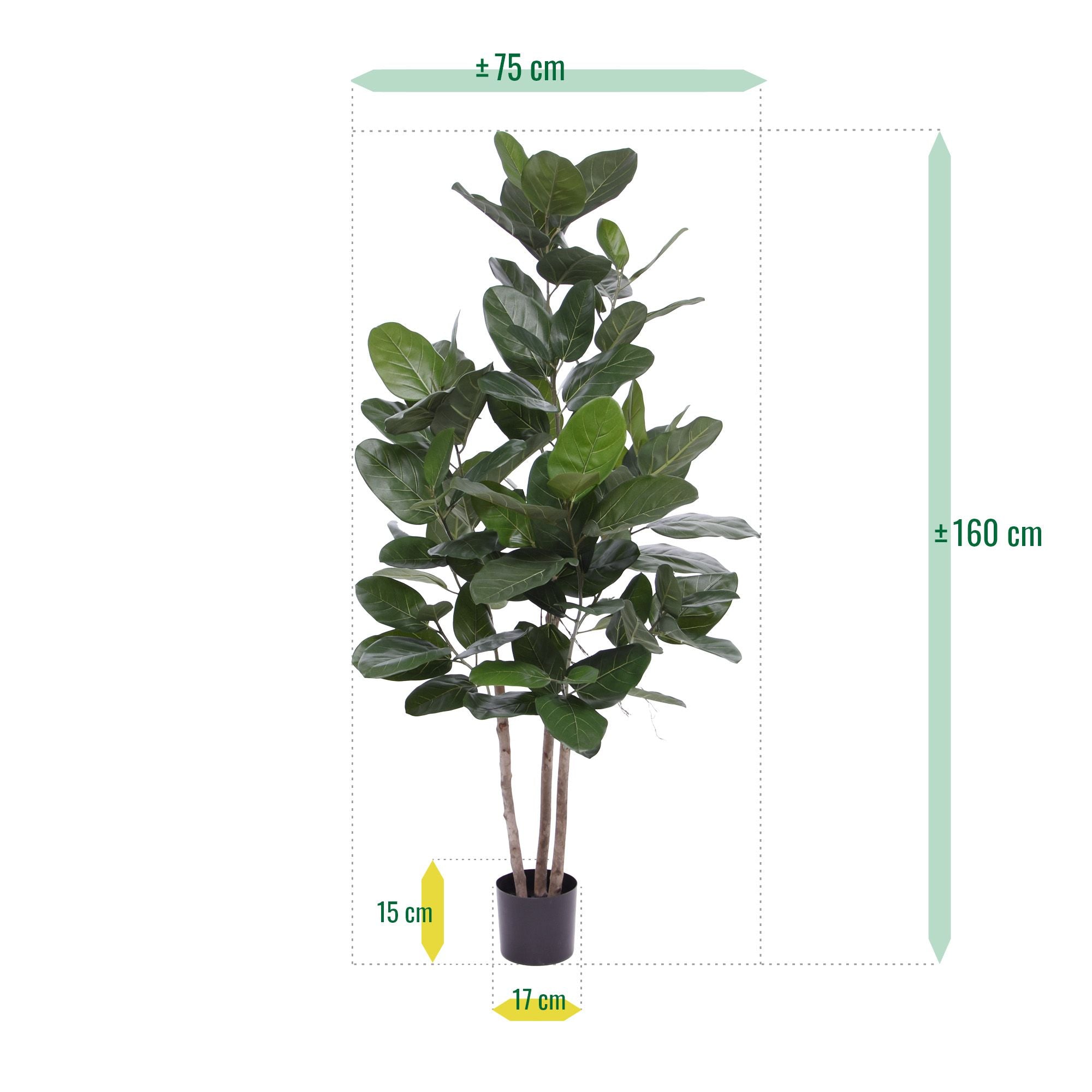 Ficus Audrey kunstplant 160cm