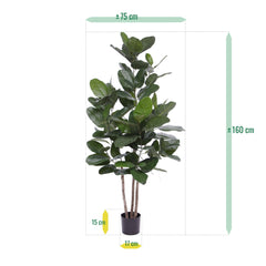 Ficus Audrey kunstplant 160cm