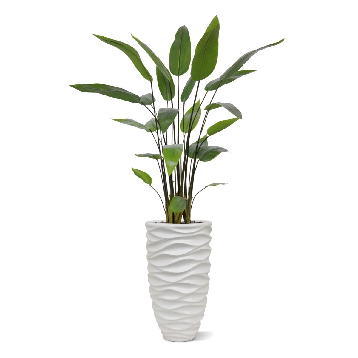 Water Canna Kunstplant 120cm