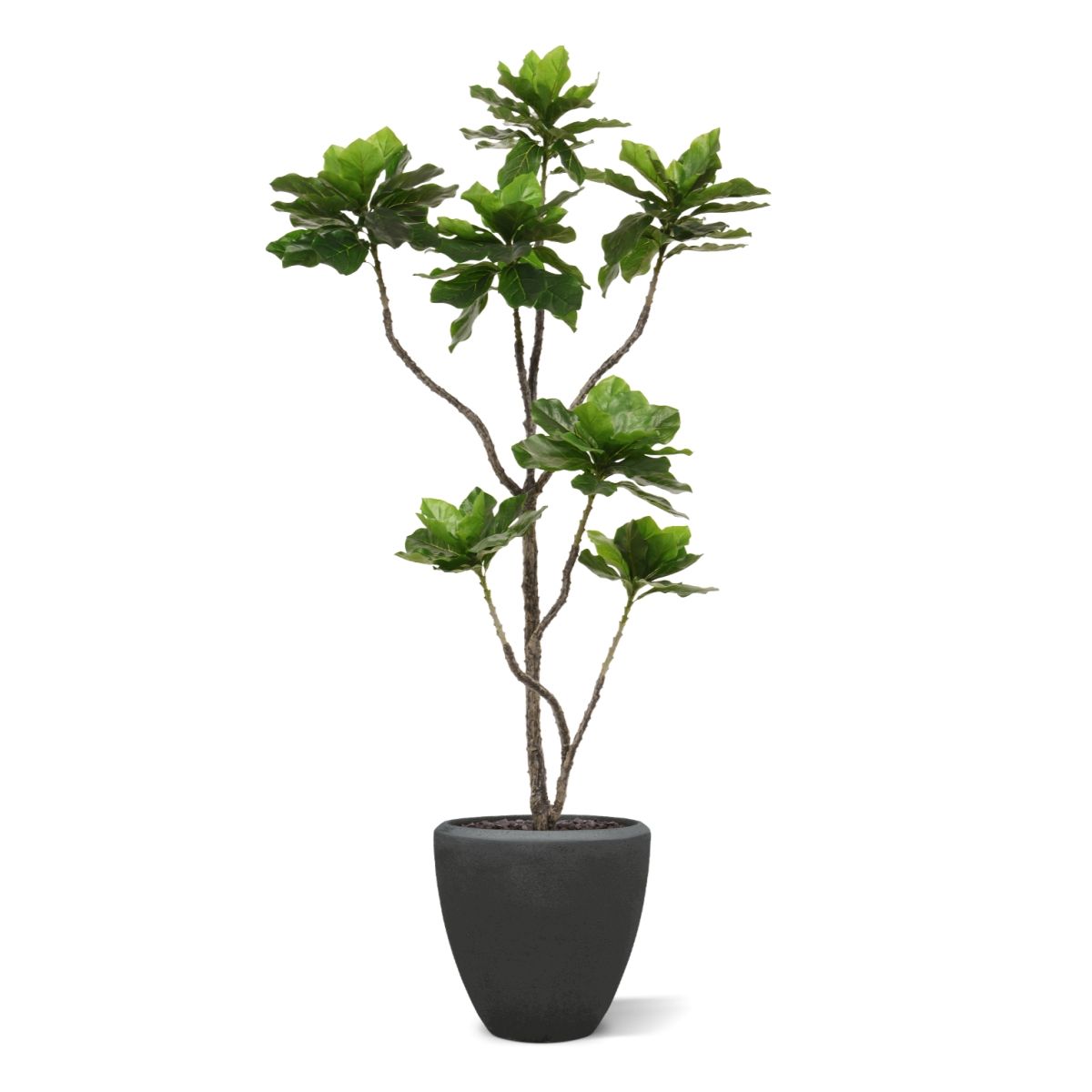 Heliotropium Kunstplant 155cm