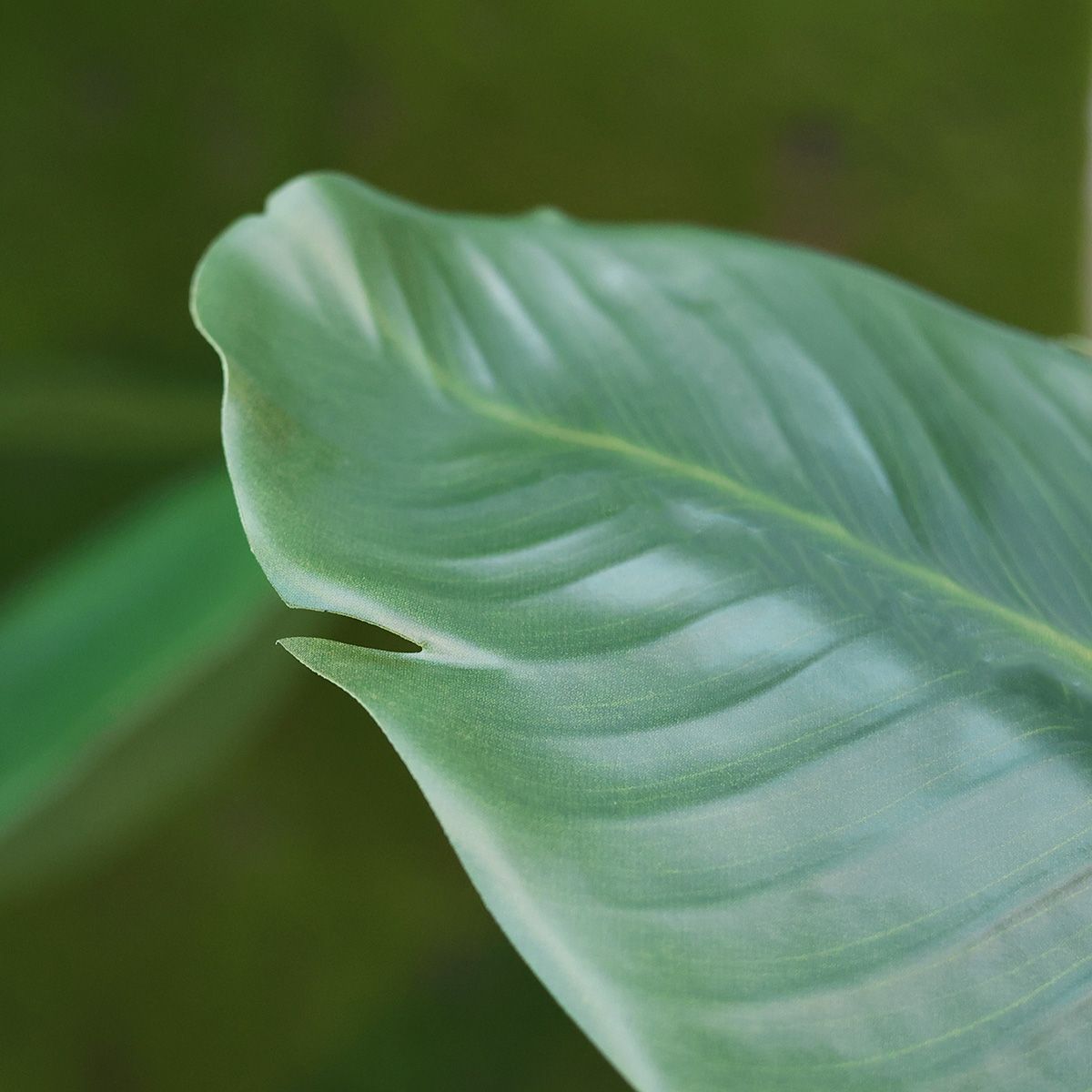 Strelitzia Nicolai kunstplant 90cm