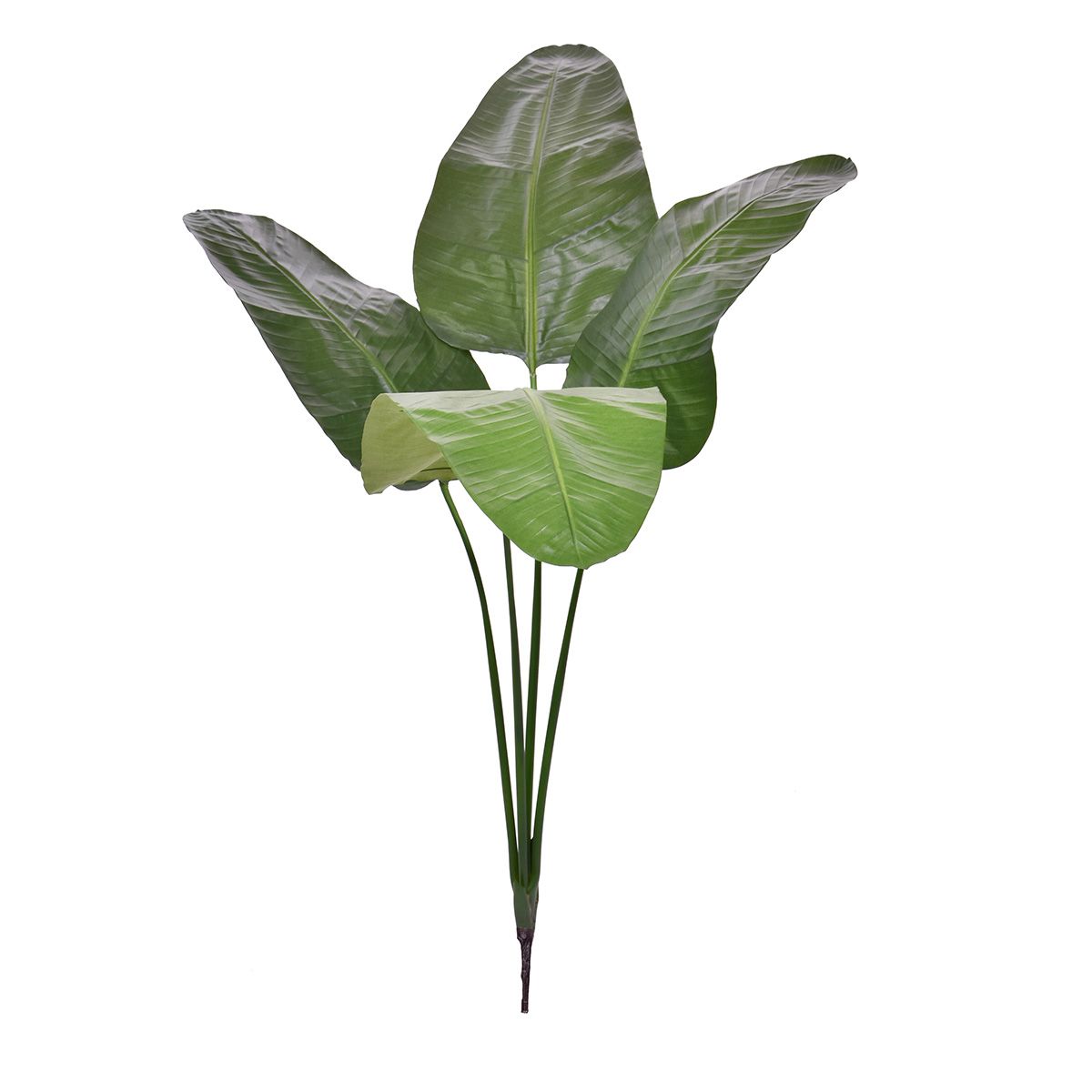 Strelitzia Nicolai deluxe Kunstpalm Bush 160cm