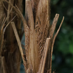 Fishtail Kunstpalm Deluxe 160cm