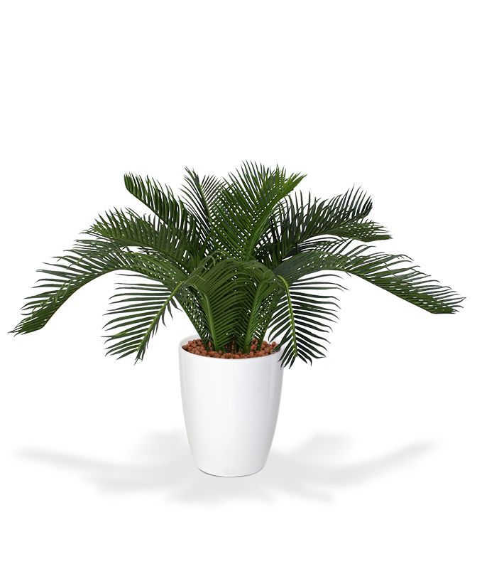 Cycas Baby kunstpalm 45cm - N