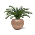 Cycas deluxe kunstpalm 60cm