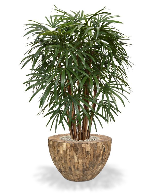 Raphis kunstpalm XL deluxe 130cm