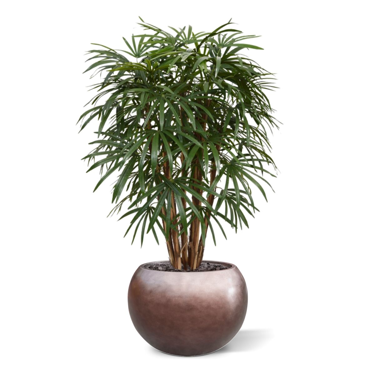 Raphis kunstpalm XL deluxe 130cm