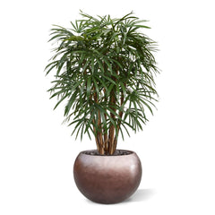 Raphis kunstpalm XL deluxe 130cm