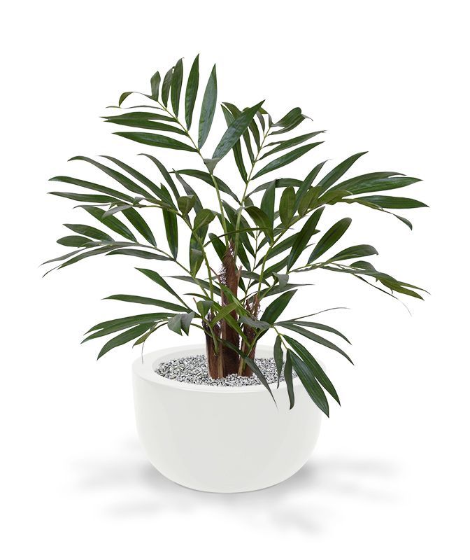 Chamaedorea kunstpalm 65cm