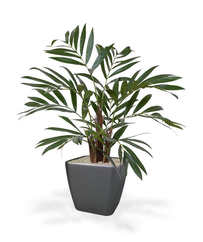 Chamaedorea kunstpalm 65cm