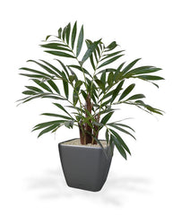 Chamaedorea kunstpalm 65cm