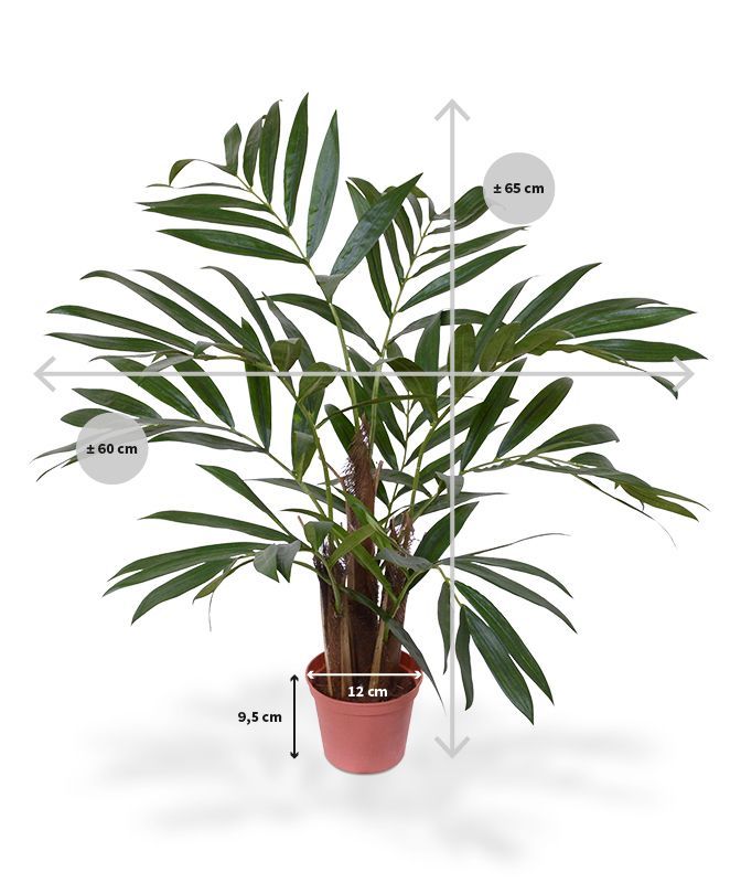 Chamaedorea kunstpalm 65cm