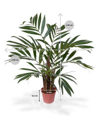 Chamaedorea kunstpalm 65cm