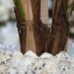 Chamaedorea kunstpalm 65cm