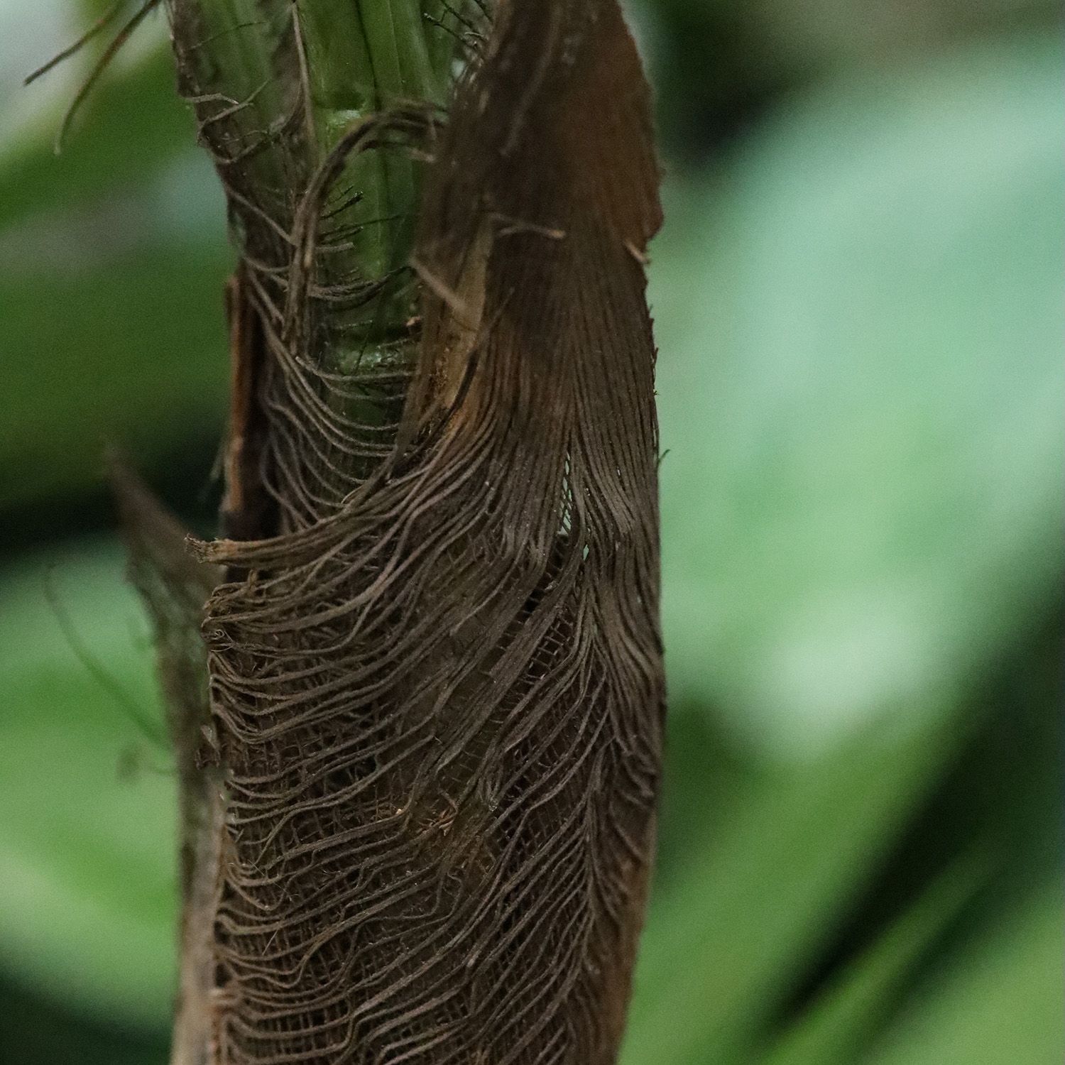 Parlour Kunstpalm Deluxe 120cm