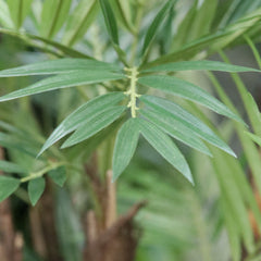 Parlour Kunstpalm Deluxe 120cm