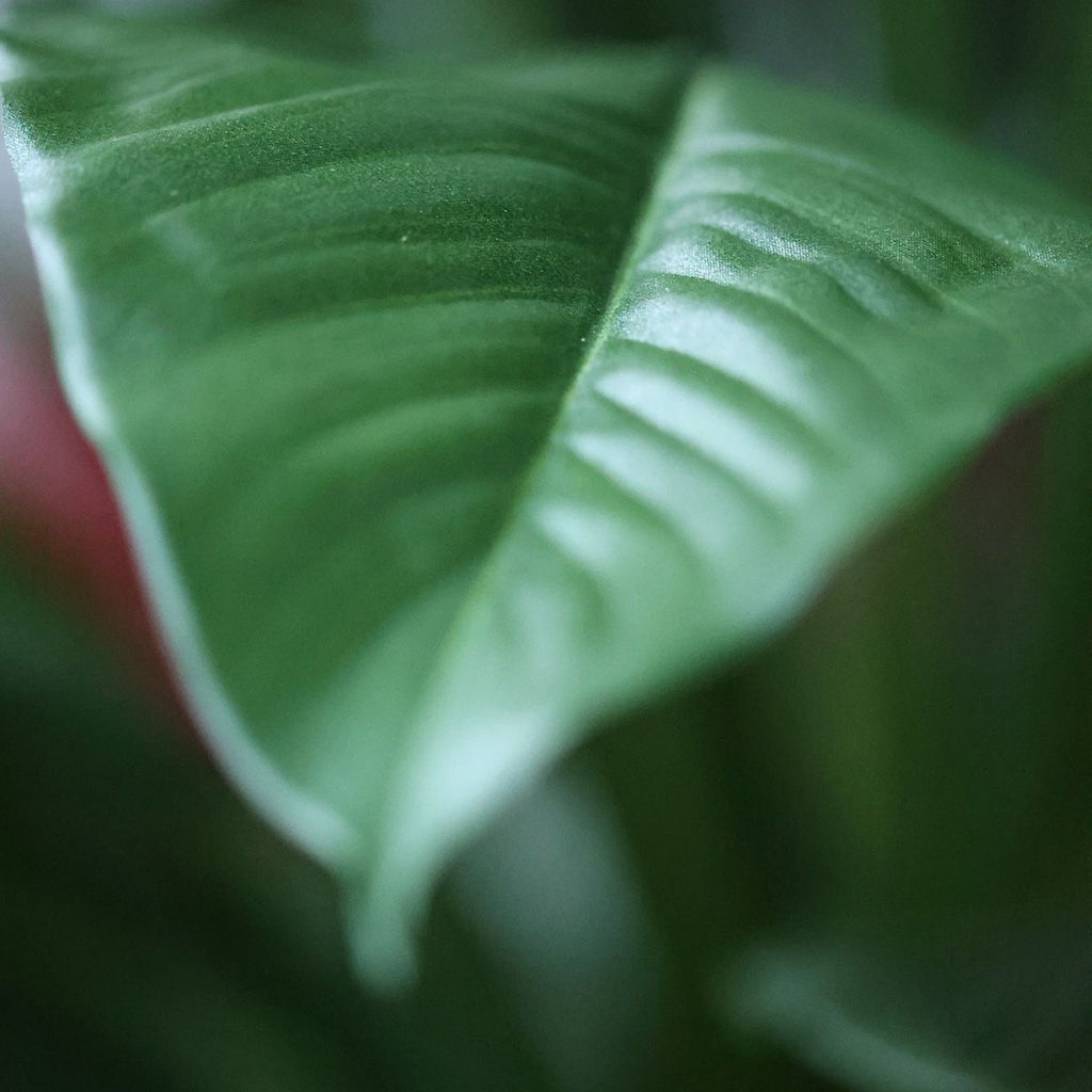 Spathiphyllum Kunstplant Deluxe 130cm
