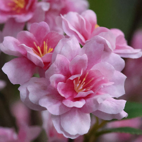 Bloesem Kunstboom 260cm roze