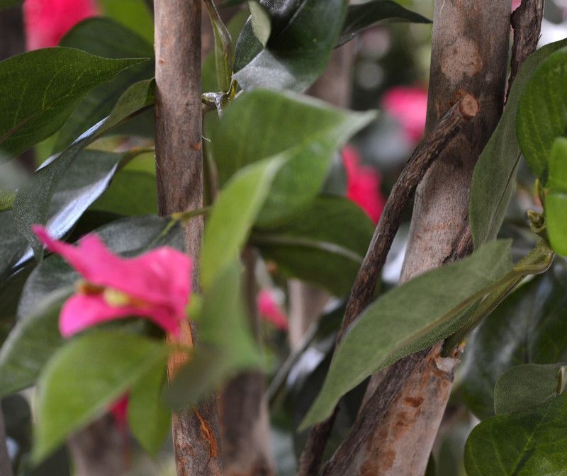 Bougainvillae kunstplant 150cm - cerise