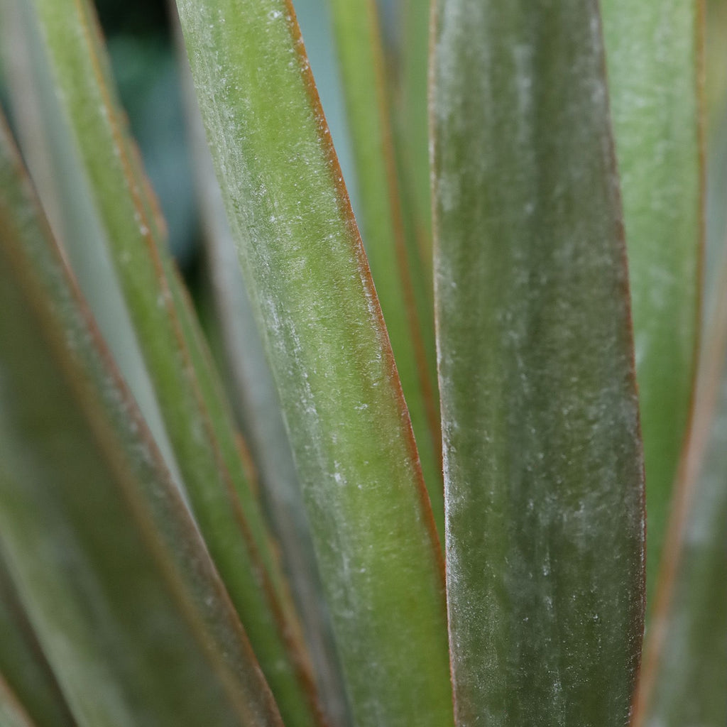 Yucca Gloriosa Kunstplant 80cm in pot