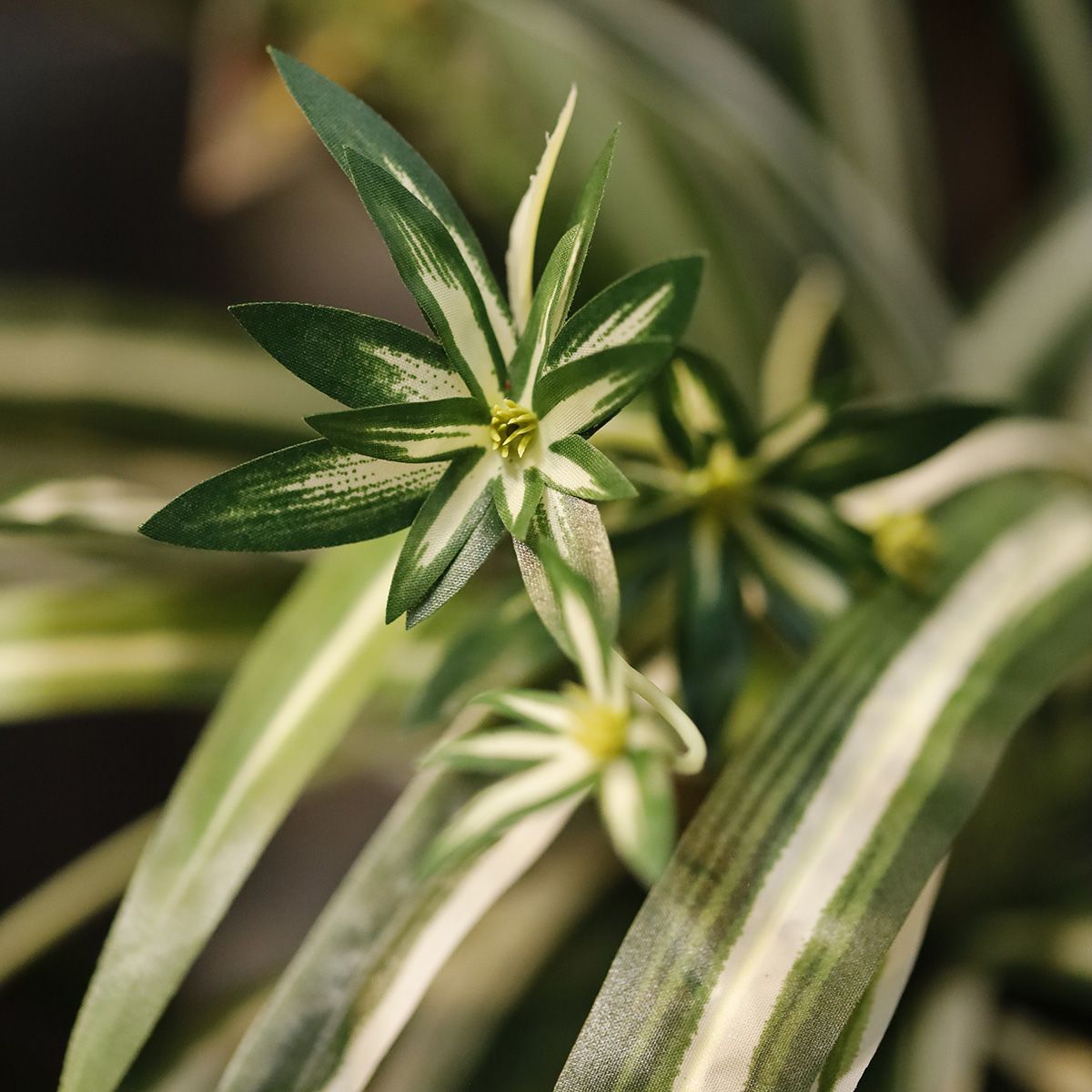 Chlorophytum Kunsthangplant 50cm