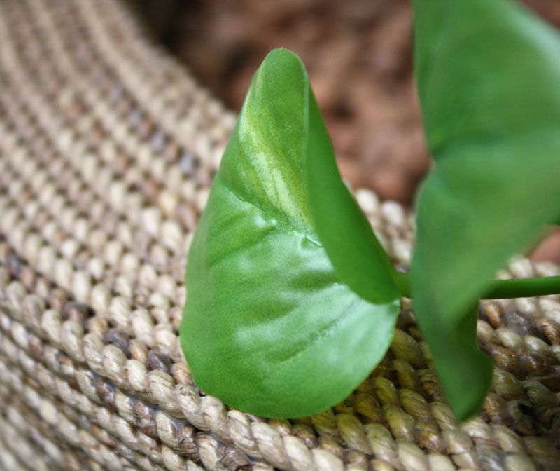 Scindapsus kunst hangplant 75cm - groen
