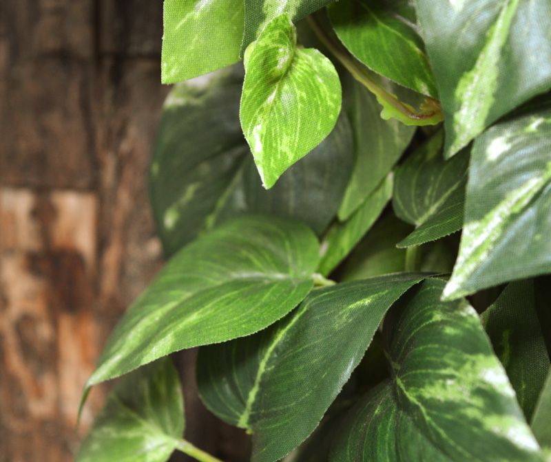 Scindapsus kunst hangplant 100cm - bont
