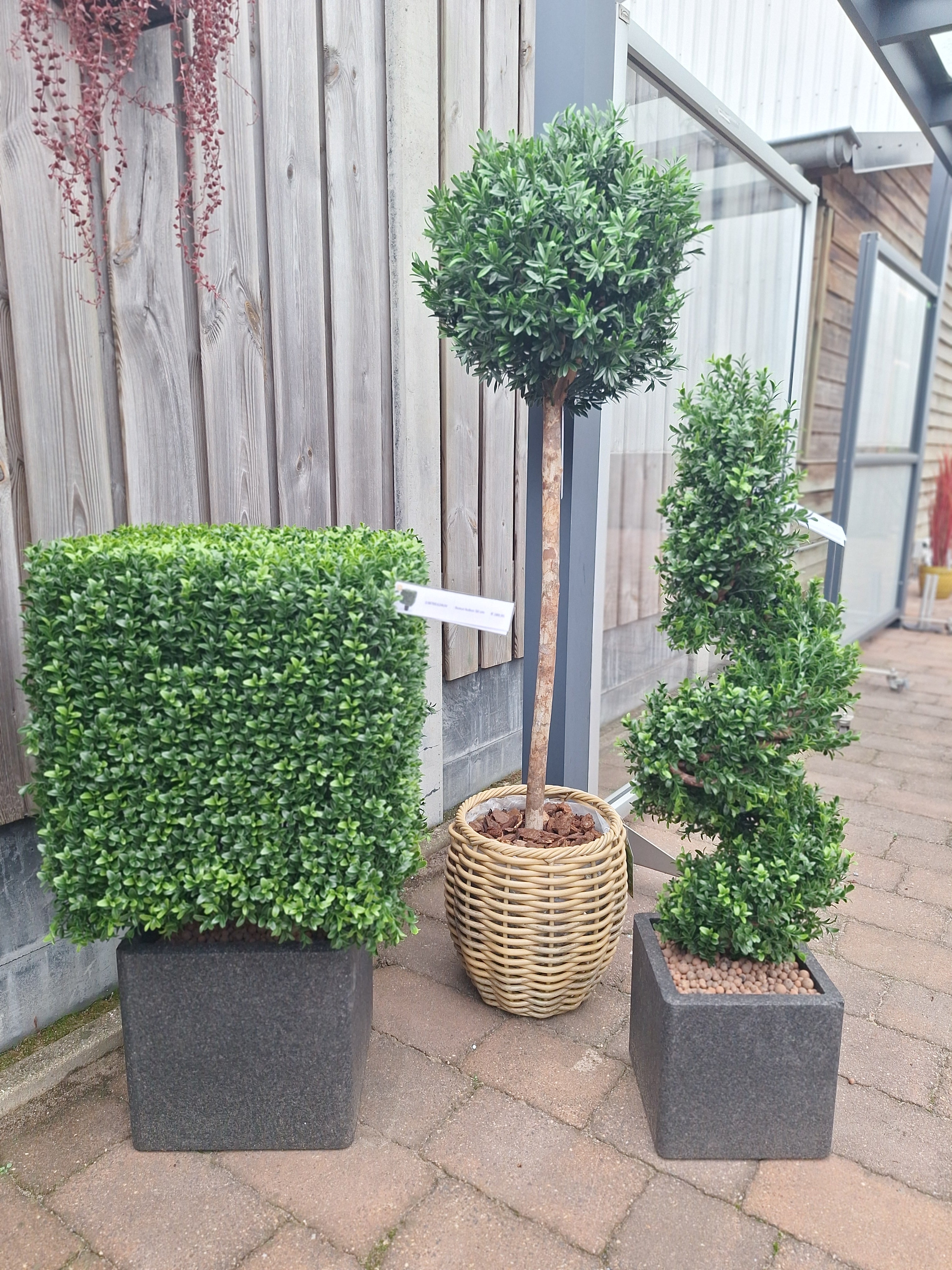 Kunst buxus Kubus 40 cm UV-bestendig voor buiten