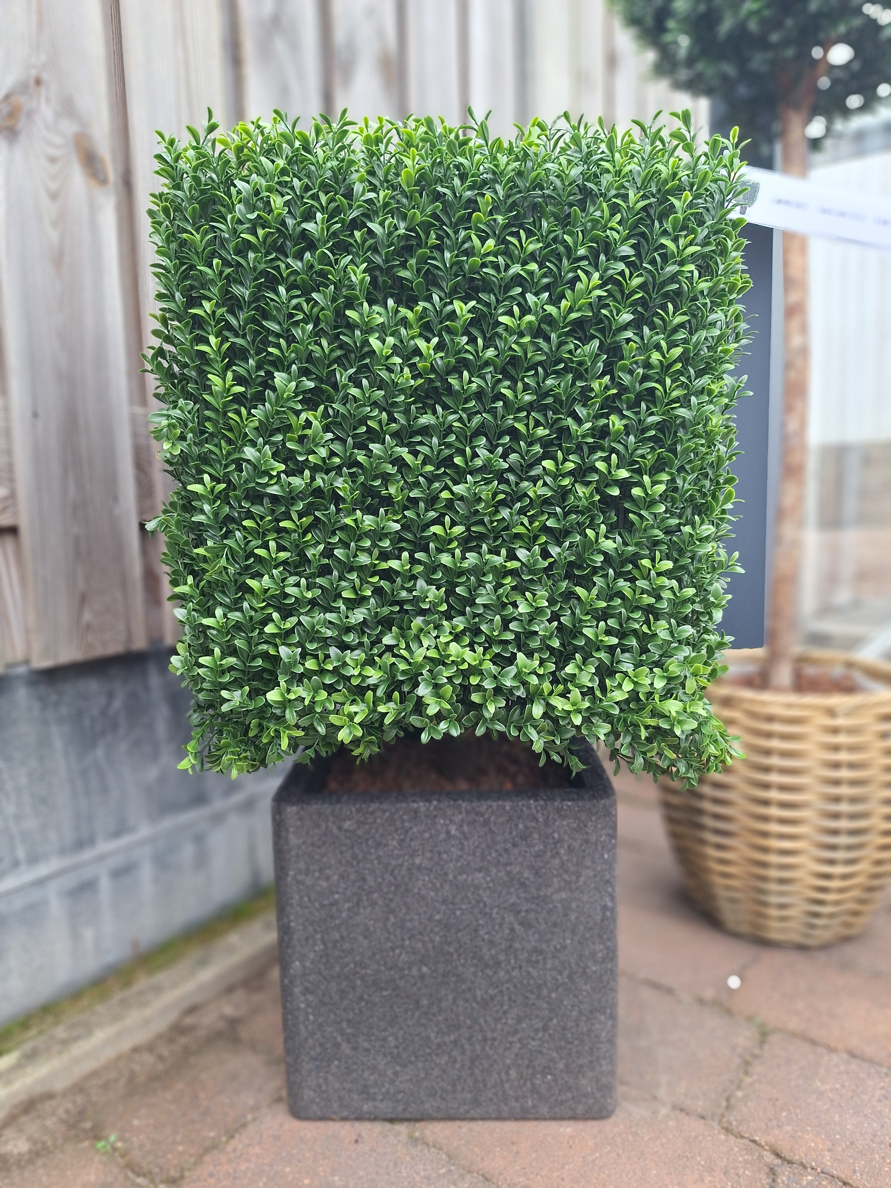 Kunstmatige buxus voor buiten, vierkant, 50 cm, UV-bescherming.