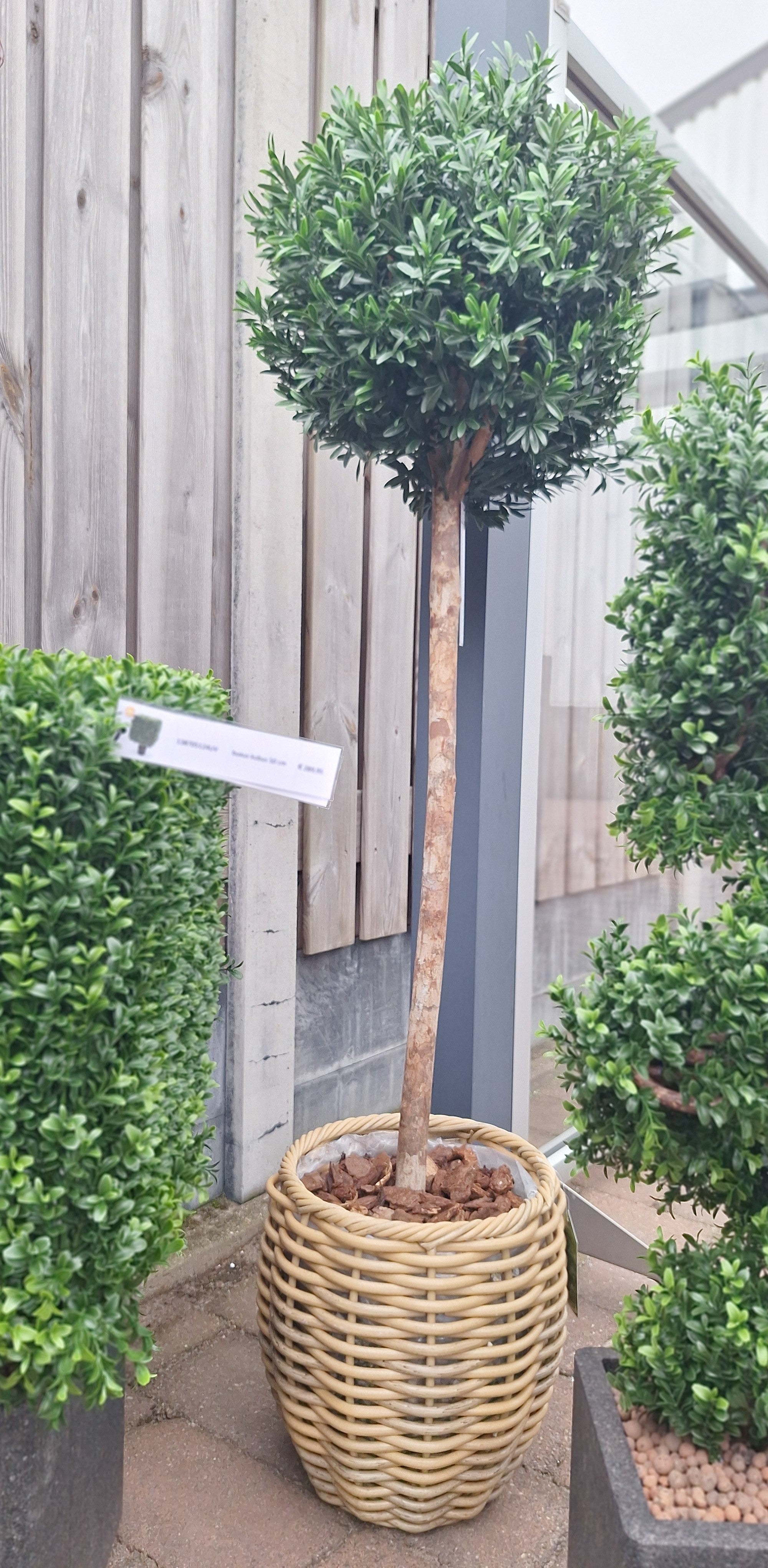 Kunst Buxusbol op stam voor buiten 110 cm UV beschermd 