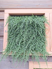 Kunststof coniferen hoekmat voor bevestiging op coniferen matten UV-beschermd 