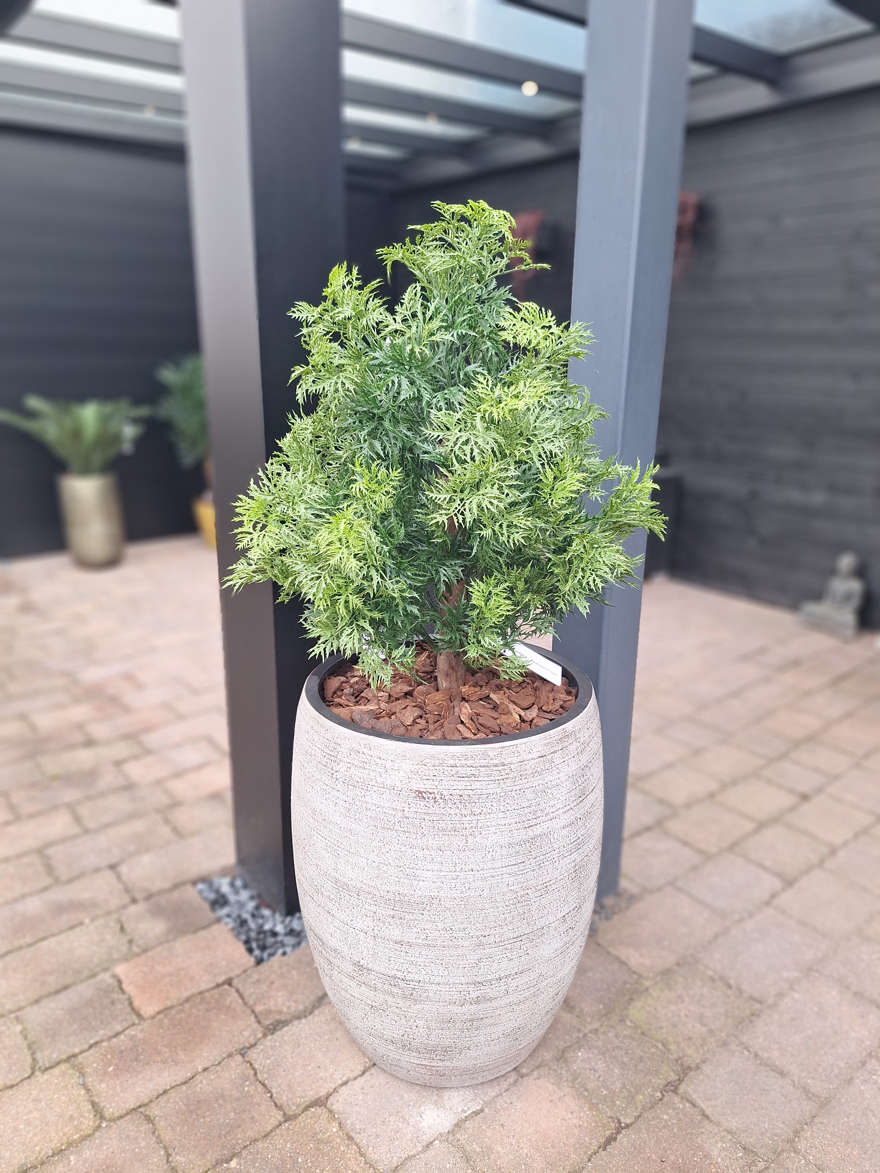 Kunstplant voor buiten Ming Aralia groen UV-bestendig
