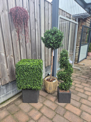 Kunst buxus Kubus 40 cm UV-bestendig voor buiten