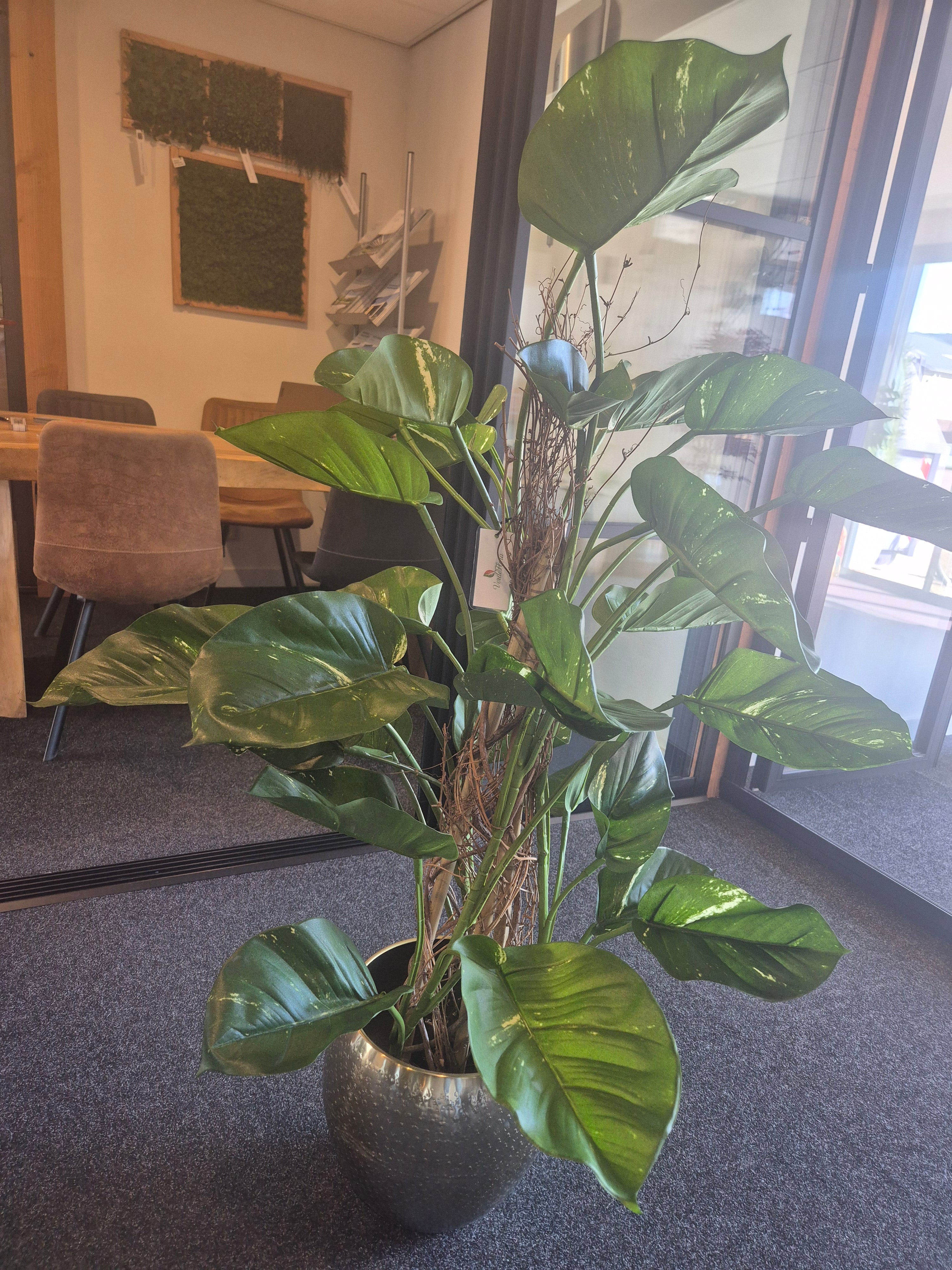Kunst Pothos Klimplant 125 cm – Showroom Editie (incl. styling)