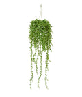 Senecio kunst hangplant 60 cm