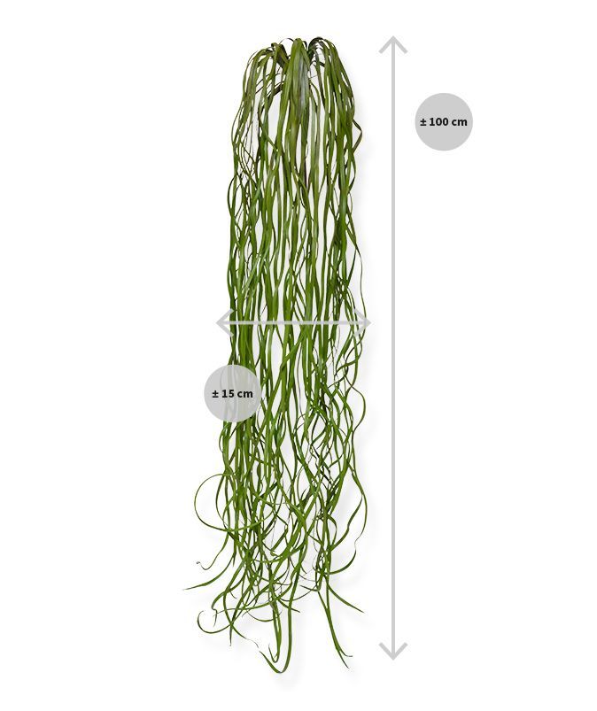 Zeegras kunst hangplant 120cm
