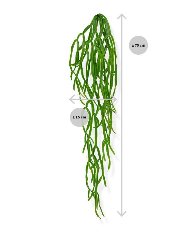 Rhipsalis Paradoxa kunst hangplant 75cm