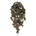 Peperomia Caperata kunsthanger 60cm - burgundy