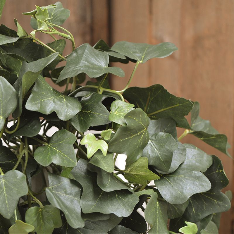 Hedera kunst hangplant 75cm - groen - FR - brandvertragend