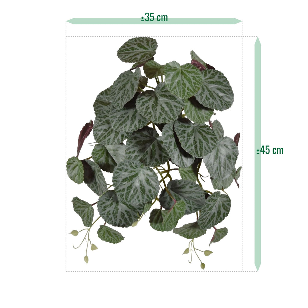 Saxifraga kunst hangplant 45cm - groen/rood
