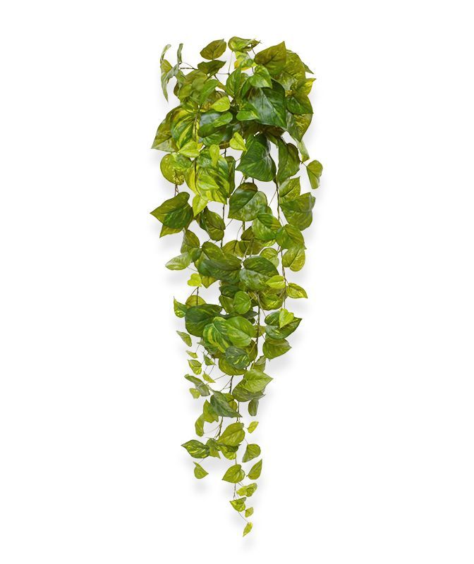 Pothos kunsthanger 90cm - bont