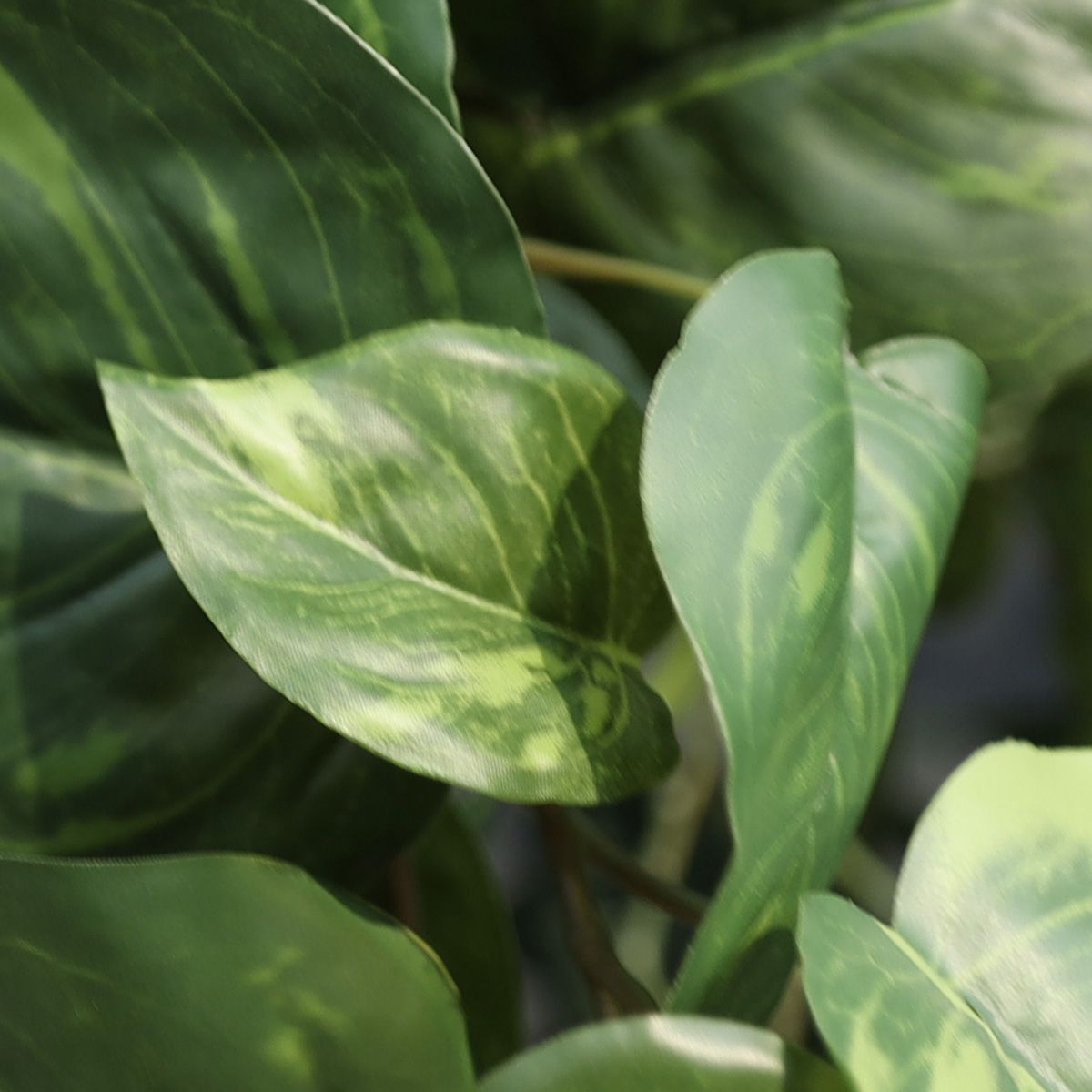 Pothos kunsthanger 90cm - bont