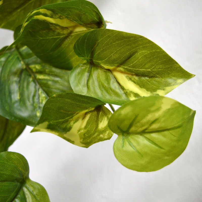 Scindapsus kunst Guirlande RT 180cm