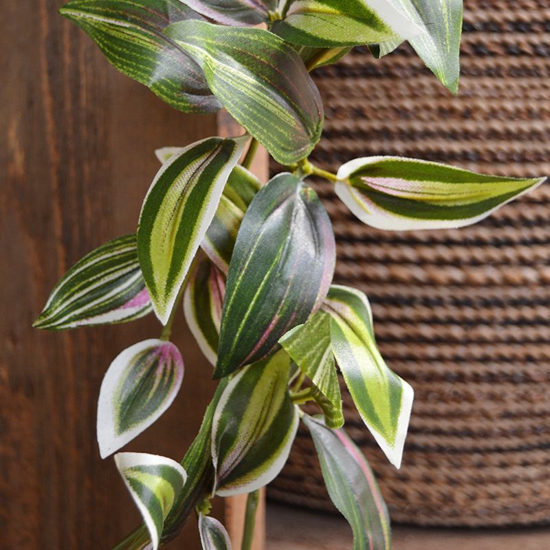 Tradescantia kunst Guirlande 180cm - bont