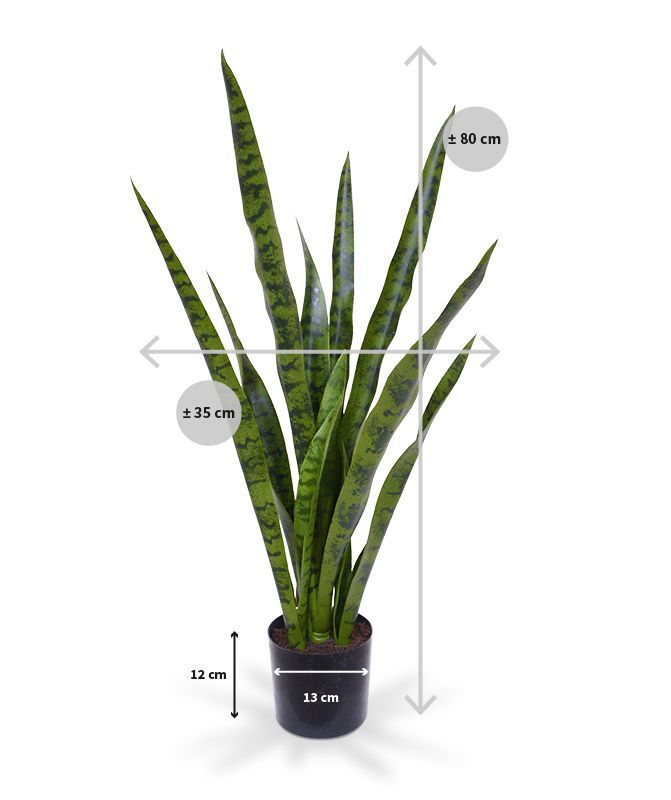 Sansevieria kunstplant 78 cm