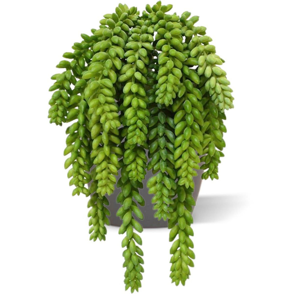 Sedum Donkey tail kunstplant 30cm
