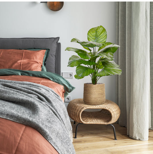 Calathea Fasciata kunstplant 70cm