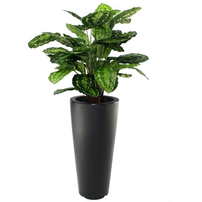 Calathea Rosea Picta kunstplant 80cm