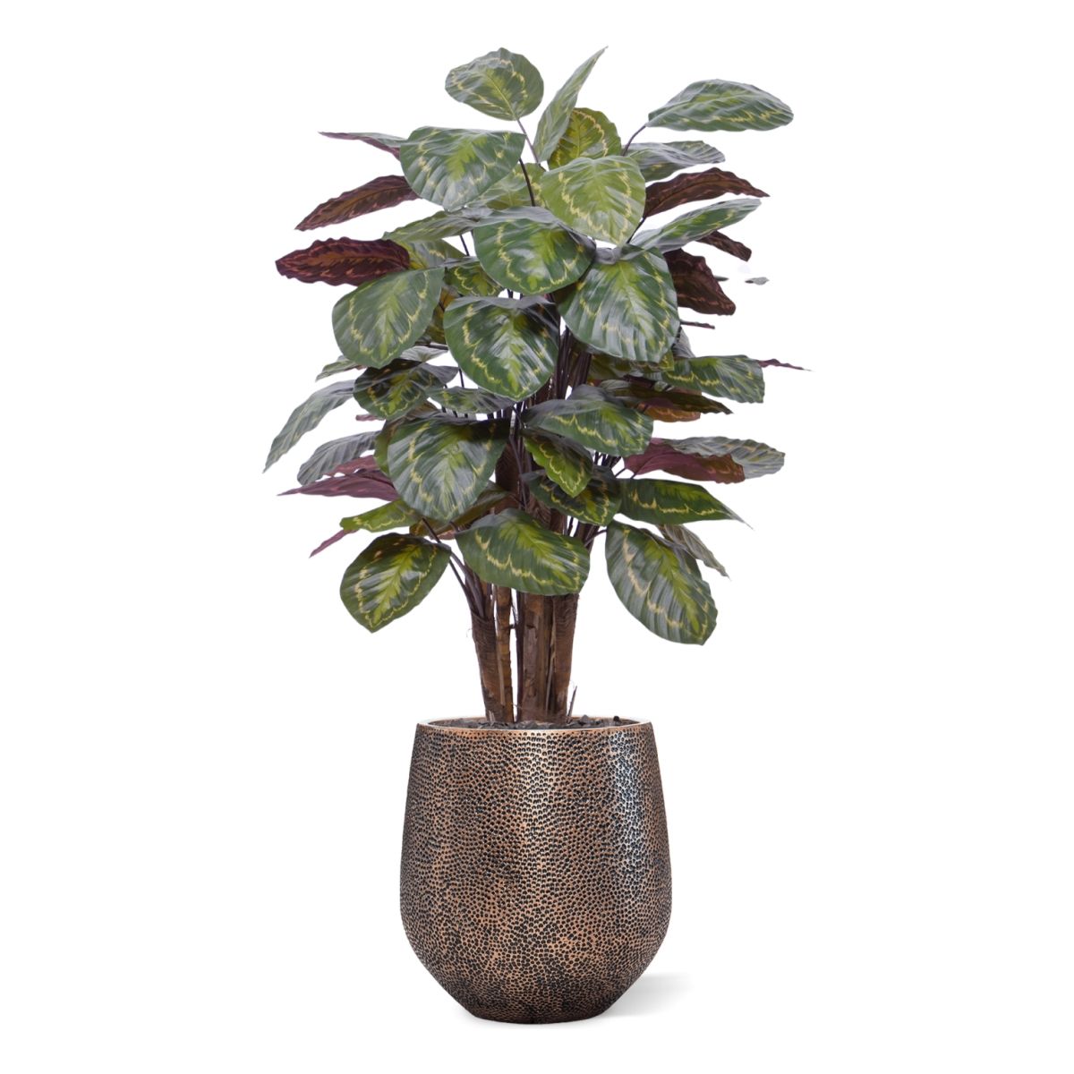Calathea Roseopicta kunstplant Deluxe 125cm rood